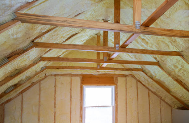 Best Geographic-Specific Insulation Services in Pulaski, TN