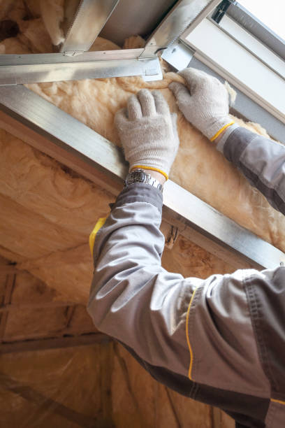 Best DIY Insulation Kits and Guidance in Pulaski, TN