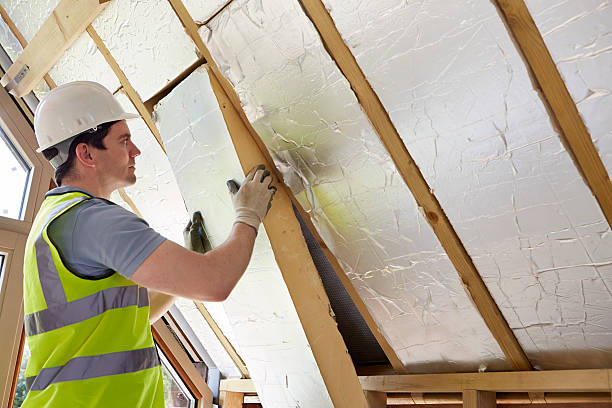 Best Cellulose Insulation in Pulaski, TN